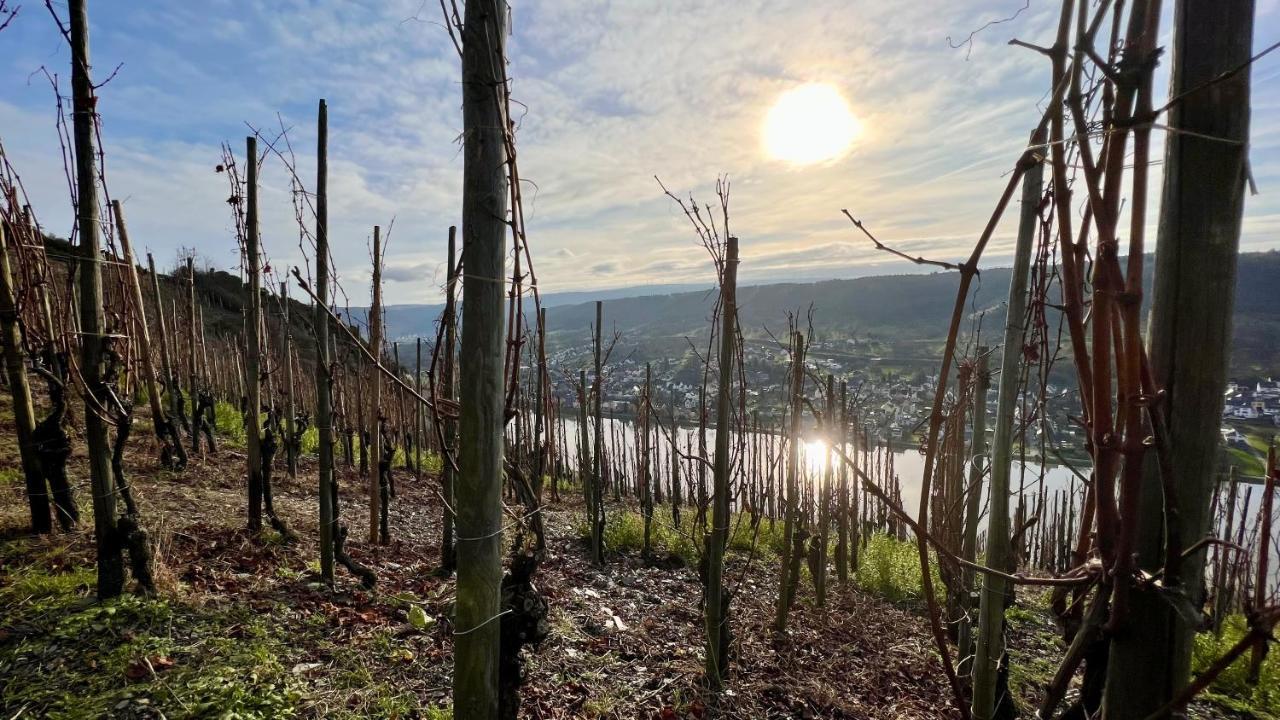 Weinrebe Διαμέρισμα Bernkastel-Kues Εξωτερικό φωτογραφία
